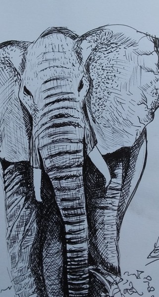 esquisse dessin éléphant